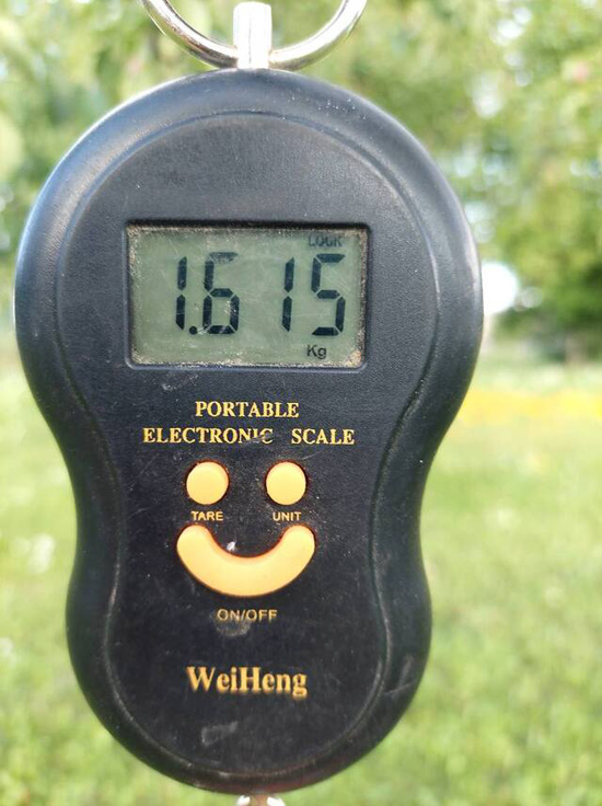 38yz37fb2ebe7d0cc5cfe44b39e8abc04_w640.jpg (141 KB)