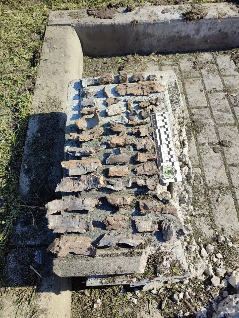 4bba6db34-02607c810887769bfaa2d8d032514f19.webp (354 KB)