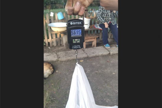 5ee0da1f55504f760d4eafc3c4f11c70.png (220 KB)