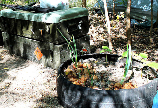 8e5be4453-1d91-4985-9538-d02c489bf780.jpg (312 KB)