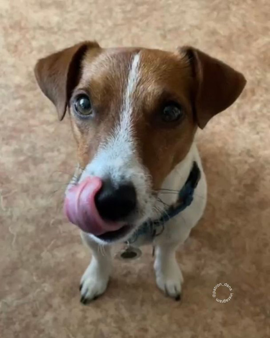 9b963d98f6d038926e9c2cc1f5877d2f.jpeg (95 KB)