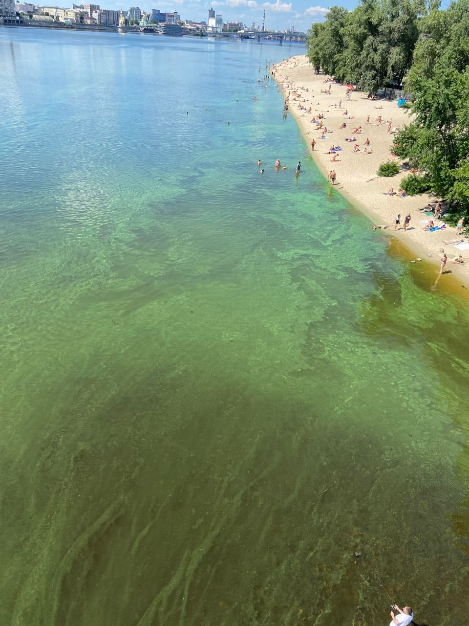 photo_2022-07-24_16-43-33.jpg (217 KB)