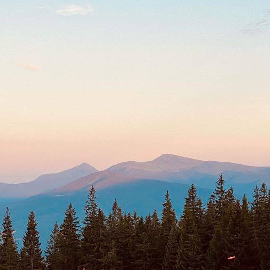 11141114image.jpg (210 KB)