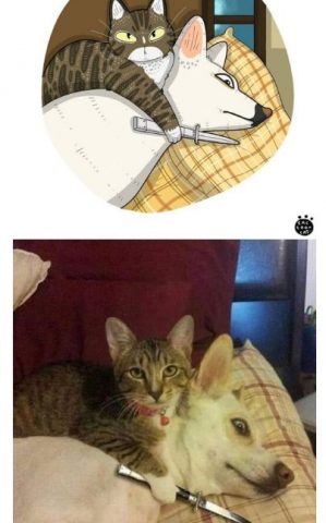 111961424.jpg (25 KB)