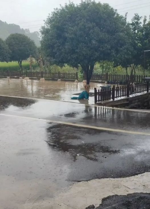 111screenshot_8-7.jpg (55 KB)