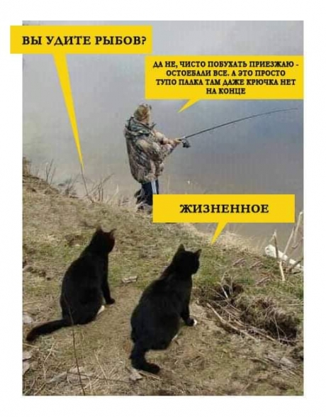 1222233744011_10222609312655938_6071163833375970576_n-e1628870826975.jpg (171 KB)