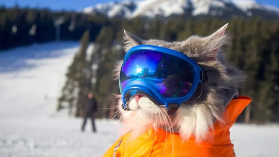 1Screenshot_6.jpg (119 KB)