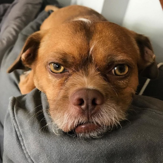 2962258.jpg (221 KB)