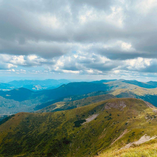 311141114image.jpg (250 KB)