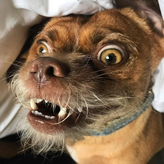 3962260.jpg (235 KB)