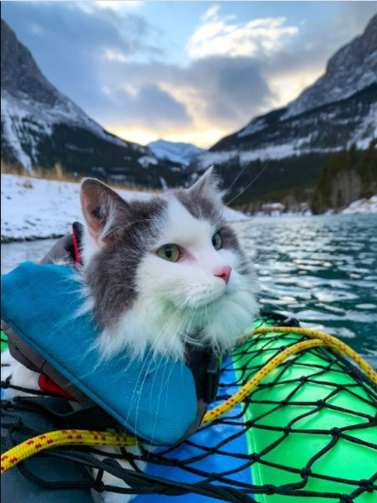 4Screenshot_8-6.jpg (292 KB)