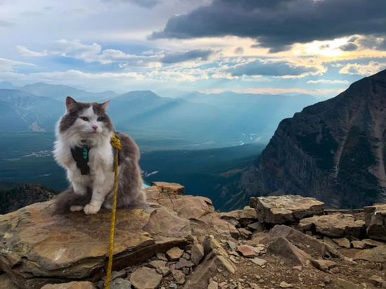 5Screenshot_9-3.jpg (176 KB)