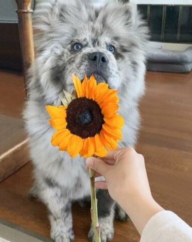 2screenshot_5-7.jpg (33 KB)