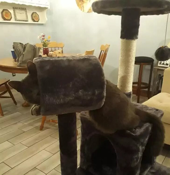 8-5.jpg.jpg (164 KB)