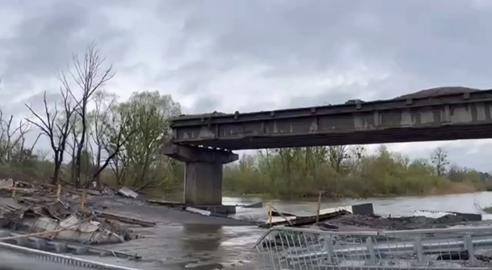 123screenshot3.webp (104 KB)