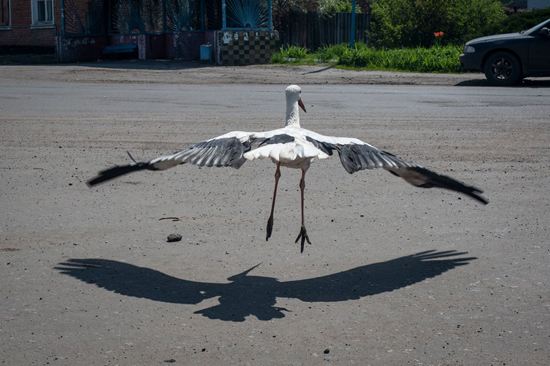 1445a9861d148beb3576e230cdea5cff7.jpg (170 KB)