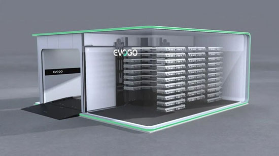 1evogo_02.jpg (36 KB)