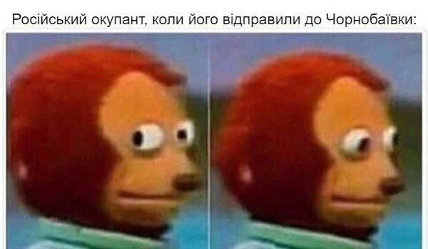 201001abv-5771.webp (19 KB)