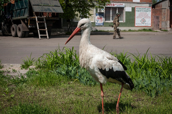 28abd0fdee3cc5bdee3d9e39afec4b8d7.jpg (221 KB)