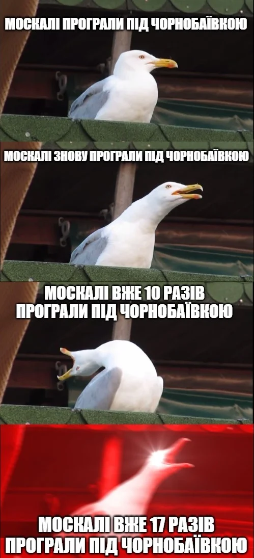 701001ac3-244a.webp (61 KB)