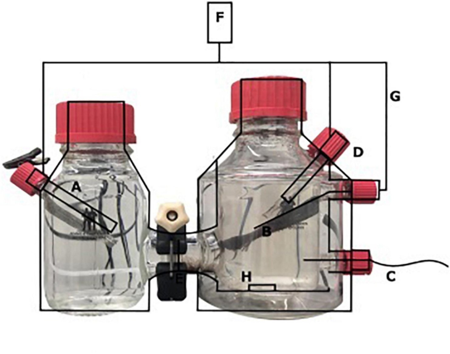 912eb921-7fc1ce3612ac10393bdc1defa5a738f9.jpg (124 KB)