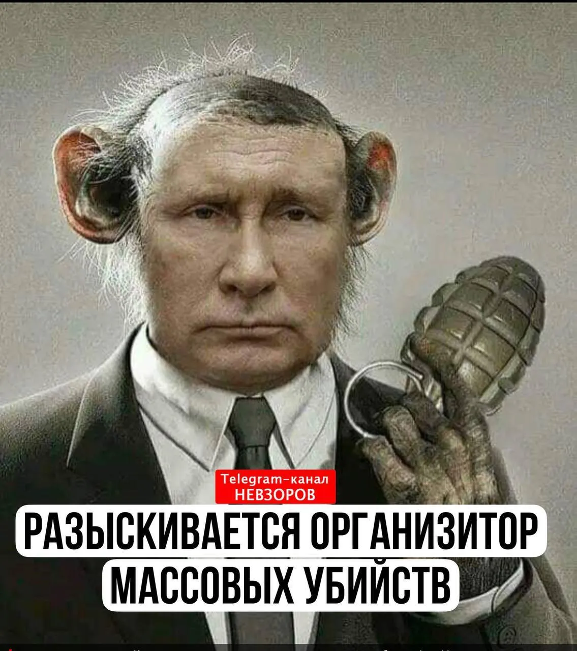 photo2022-05-0519-32-51.webp (122 KB)