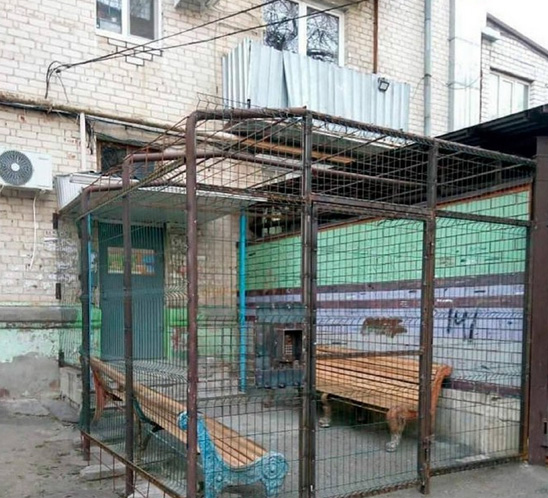 1232131111.jpg (151 KB)