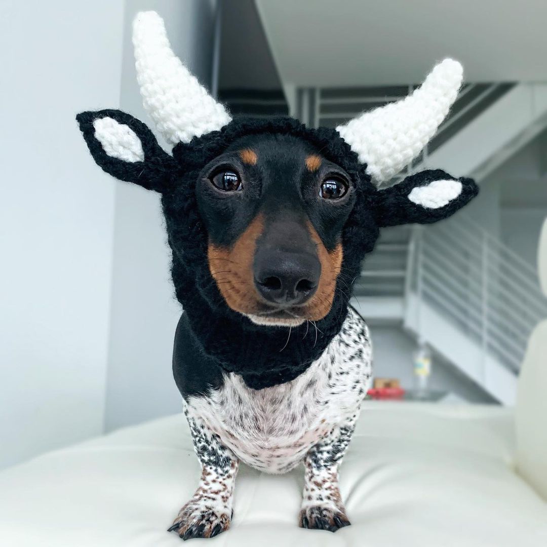 14a4155d1d9d47df747a1ee034b8e2479.jpg (108 KB)