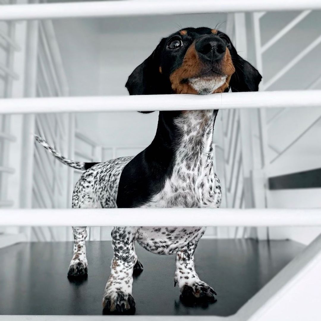 2ffec80d9665dcf96f5f793b1b73921ed.jpg (115 KB)