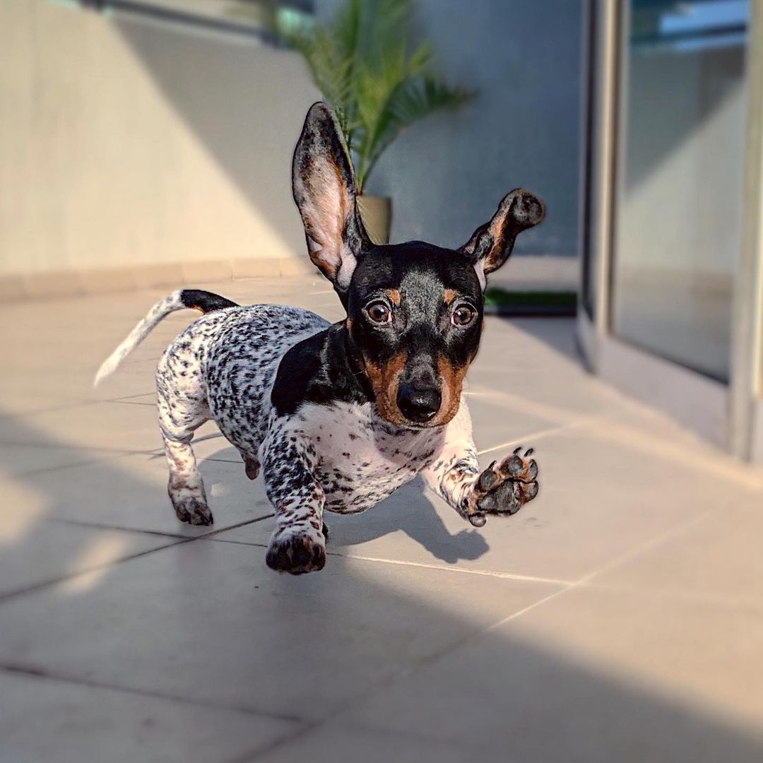 3666779a6e33ae7631125e115db28ec5.jpg (108 KB)