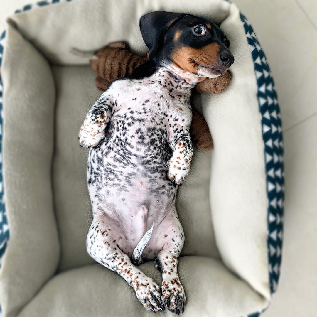 466a99b5951a024b6d0745803432b6213.jpg (151 KB)