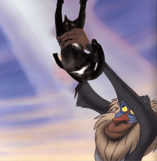 1000776089_big.png (388 KB)