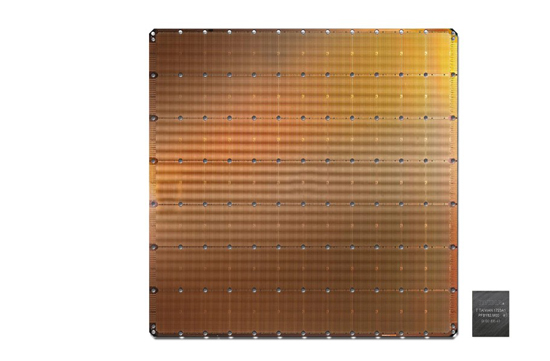 1largest_chip.jpg (94 KB)