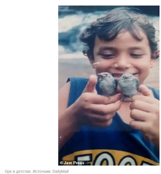 21424241.jpg (129 KB)