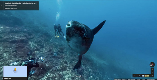 2776760_big.jpg (61 KB)