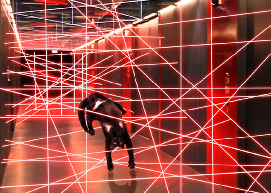 3776080_big.jpg (102 KB)