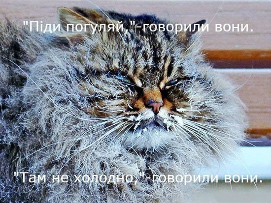 37a07b1990451747aebe0a12859a63b6e.jpg (113 KB)