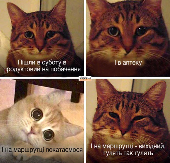 49870d1eb88a08ba223ac6eb123a9eff8.jpg (248 KB)