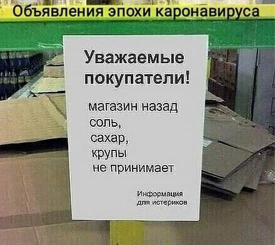 4be20042b451ffded3b7390588942a231.jpg (61 KB)