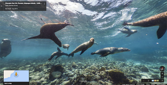 5776767_big.jpg (93 KB)