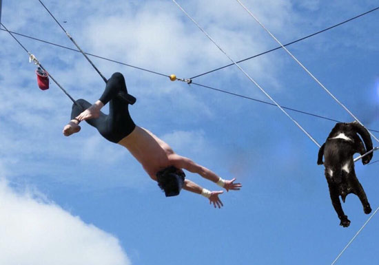 6776082_big.jpeg (45 KB)