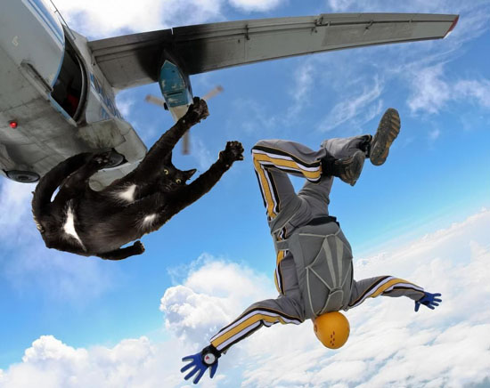 776085_big.jpg (65 KB)