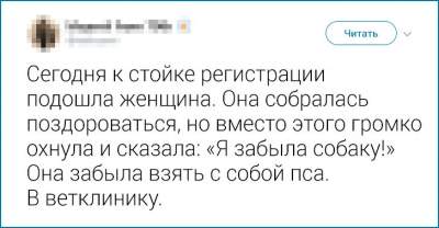 31547820317_tvity6.jpg (17 KB)