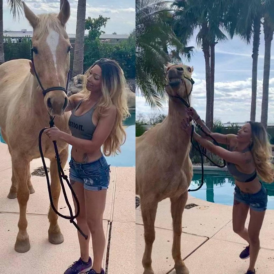 2558926_big.jpg (249 KB)