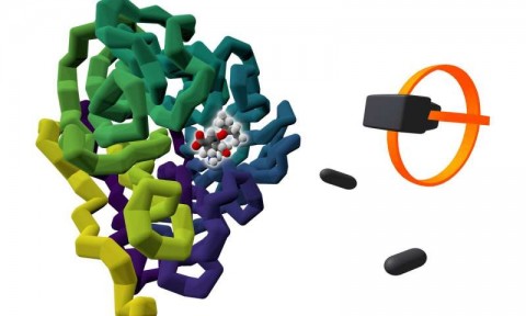 2yoK2McdgNoFEF3ZW4HUyU3JiD8rhdt.jpg (26 KB)