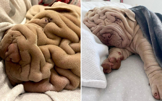 2900448.jpg (101 KB)