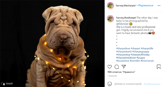 3900449.png (165 KB)