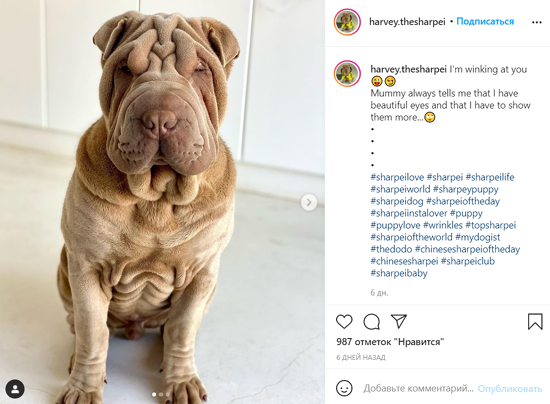 4900450.png (246 KB)