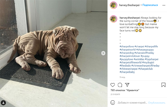 5900451.png (241 KB)