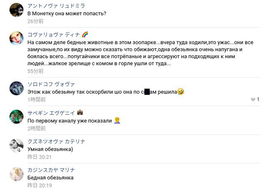 62354554466.jpg (60 KB)